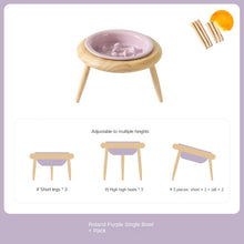 Ceramic Slow Feeding Elevated Cat Bowl Neck Support.