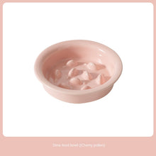 Ceramic Slow Feeding Elevated Cat Bowl Neck Support.