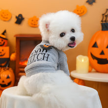 Pet Clothes Autumn Winter Small Dog Puppy Festival Letter Embroidery.