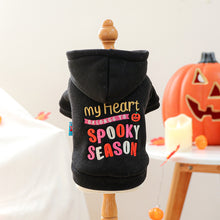 Pet Clothes Autumn Winter Small Dog Puppy Holiday