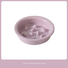 Ceramic Slow Feeding Elevated Cat Bowl Neck Support.