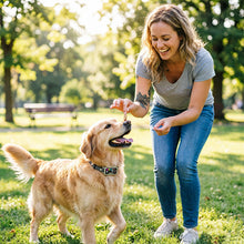 Rechargeable Anti-Bark Collar for Dogs – Adjustable Training Collar with Beep & Vibration