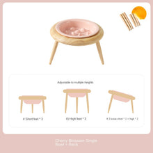Ceramic Slow Feeding Elevated Cat Bowl Neck Support.