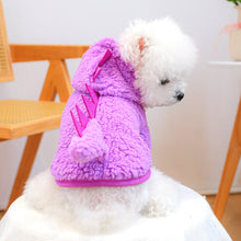 Pet Costume Halloween Dinosaur Transform Outfit.
